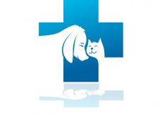 Ddl abilitante: il veterinario è “medico veterinario”