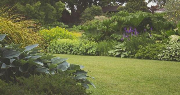 Cinque consigli per cambiare volto al tuo giardino