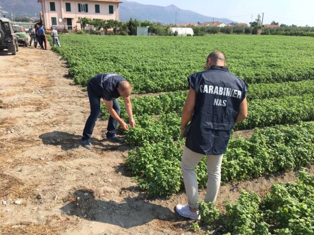 Controlli Dei Carabinieri in 109 aziende agricole.