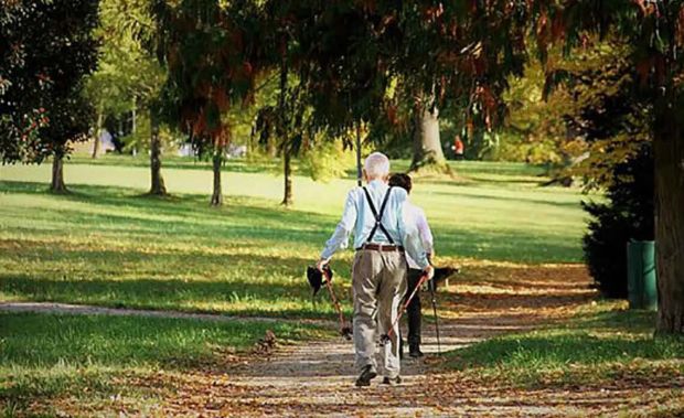 L'importanza della natura per il benessere fisico e mentale degli anziani